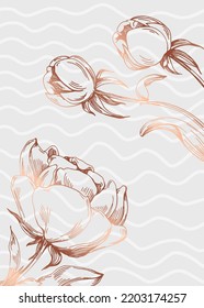 Set of Abstract peonies Hand Painted Illustrations for Wall Decoration, minimalist flower in sketch style. Postcard, Social Media Banner, Brochure Cover Design Background. Modern Abstract Painting.