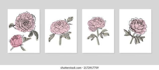 Set of Abstract Peony Hand Painted Illustrations for Wall Decoration, minimalist flower in sketch style. Postcard, Social Media Banner, Brochure Cover Design Background. Modern Abstract Painting