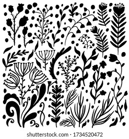 set of abstract plants drawn on a white background, isolated, vector