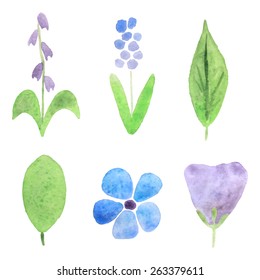 Set of abstract plants with green leaves drawing by watercolor, hand drawn vector elements