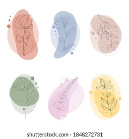 
Set of abstract plants, line art. Herbs decoration template. Vector illustration