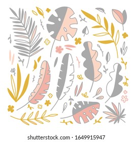 Set of abstract plants, palm leaves in flat and line cartoon style.   Vector illustration