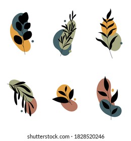 Set of abstract plants.Silhouette.Collection hand drawn, botanical and healing isolated plants.Herbs design template.Twigs and leaves with abstract colorful forms.Vector illustration.