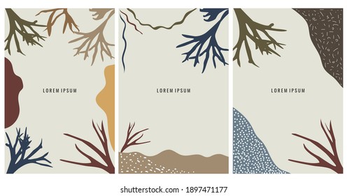 set abstract and platycerium leaves template background modern and trendy
