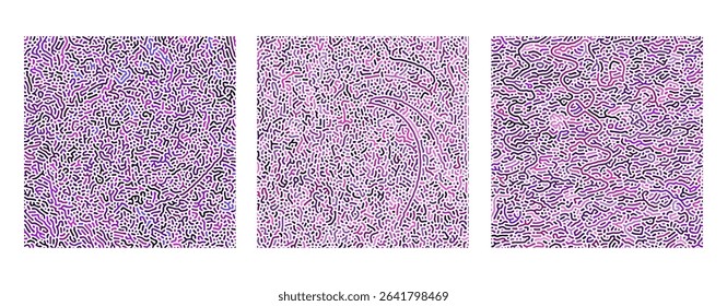 SET ABSTRACT PURPLE PINK COLORFUL LINES TURING PATTERN ROUGH DESIGN REACTION DIFFUSION BACKGROUND VECTOR GOOD FOR WALLPAPER, COVER,POSTER 