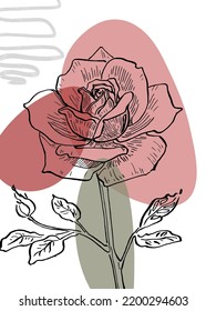 Set of Abstract Roses Hand Painted Illustrations for Wall Decoration, minimalist flower in sketch style. Postcard, Social Media Banner, Brochure Cover Design Background. Modern Abstract Painting.