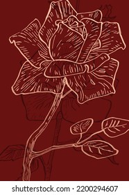 Conjunto de ilustraciones pintadas a mano de rosas abstractas para la decoración de las paredes, flor minimalista con estilo de sketch. Postcard, Banner de medios sociales, Fondo de diseño de portada de folletos. Pintura Resumen Moderna.