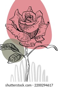 Set of Abstract Roses Hand Painted Illustrations for Wall Decoration, minimalist flower in sketch style. Postcard, Social Media Banner, Brochure Cover Design Background. Modern Abstract Painting.