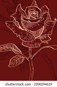 Set of Abstract Roses Hand Painted Illustrations for Wall Decoration, minimalist flower in sketch style. Postcard, Social Media Banner, Brochure Cover Design Background. Modern Abstract Painting.