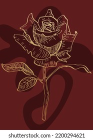 Set of Abstract Roses Hand Painted Illustrations for Wall Decoration, minimalist flower in sketch style. Postcard, Social Media Banner, Brochure Cover Design Background. Modern Abstract Painting.