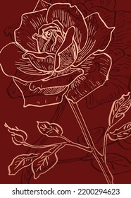 Conjunto de ilustraciones pintadas a mano de rosas abstractas para la decoración de las paredes, flor minimalista con estilo de sketch. Postcard, Banner de medios sociales, Fondo de diseño de portada de folletos. Pintura Resumen Moderna.