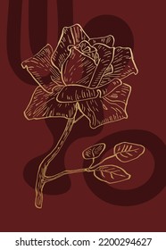 Conjunto de ilustraciones pintadas a mano de rosas abstractas para la decoración de las paredes, flor minimalista con estilo de sketch. Postcard, Banner de medios sociales, Fondo de diseño de portada de folletos. Pintura Resumen Moderna.