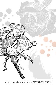 Conjunto de ilustraciones pintadas a mano de rosas abstractas para la decoración de las paredes, flor minimalista con estilo de sketch. Postcard, Banner de medios sociales, Fondo de diseño de portada de folletos. Pintura Resumen Moderna.