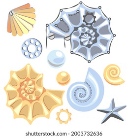Set of abstract sea shells, starfish, pearl on white background. Steampunk style. Metal mechanical sea creatures. Cartoon vector illustration.