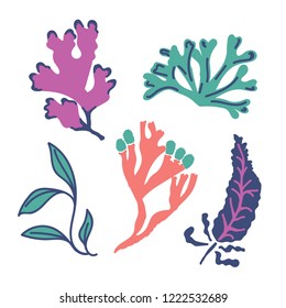 Set of abstract seaweed. Flat cartoon sea algae vector illustration isolated on white background.