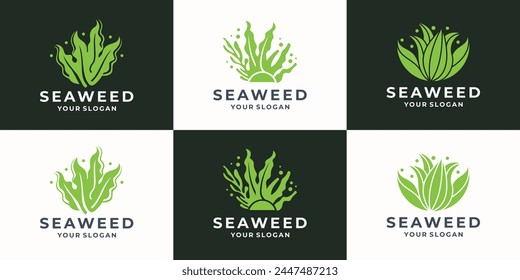 conjunto de diseño abstracto del logotipo de algas marinas inspiración. corales de mar y Ilustración vectorial de colección verde de algas marinas.