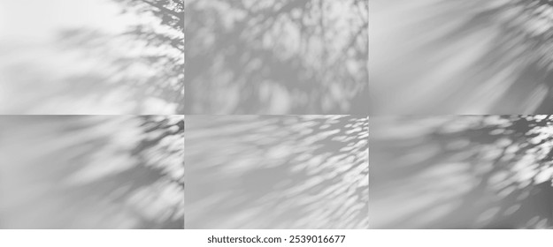 Set Abstract shadow overlay from foliage on a transparent background.