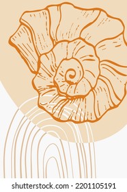 Set of Abstract Shells Hand Painted Illustrations for Wall Decoration, minimalist shell in sketch style. Postcard, Social Media Banner, Brochure Cover Design Background. Modern Abstract Painting.