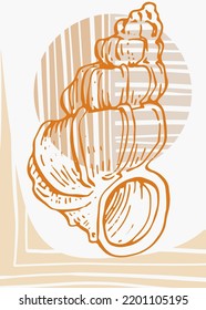 Set of Abstract Shells Hand Painted Illustrations for Wall Decoration, minimalist shell in sketch style. Postcard, Social Media Banner, Brochure Cover Design Background. Modern Abstract Painting.