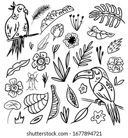 Set of abstract simple line doodle hand draw tropical jungle leaves and birds. Vector isolated elements. Tropical flat design with particle texture. Tropical elements illustration. Clipart
