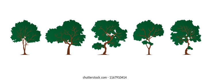 set abstract simple trees on white background. natural illustration