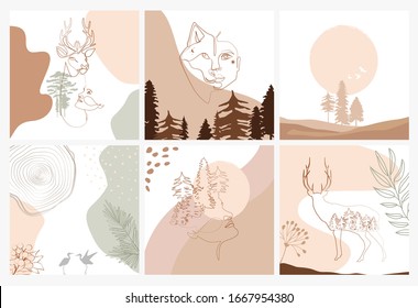 Set of abstract square background with forest animals, woman face, plants in one line style and abstract shapes and landscape. Background for mobile app page minimalistic style. Vector illustration