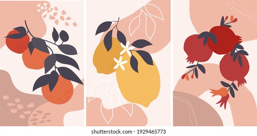 Set of abstract still life posters in pastel colors. Painted branches of lemon, pomegranate, tangerine, orange. Collection of contemporary art. Simple elements, fruits for social networks, postcards