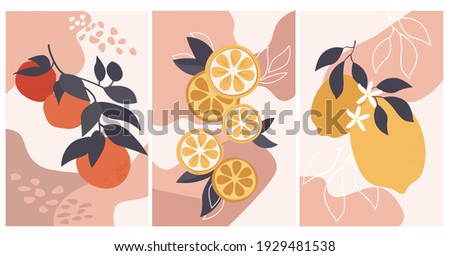 Set of abstract still life posters in pastel colors. Painted branches of lemon, pomegranate, tangerine, orange. Collection of contemporary art. Simple elements, fruits for social networks, postcards.