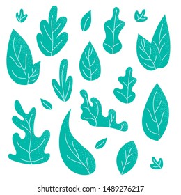 Set of abstract stylized textured leaves, trees and bushes. Fantasy color natural vector illustration in flat style design