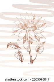 Set of Abstract Sunflower Hand Painted Illustrations for Wall Decoration, minimalist flower in sketch style. Postcard, Social Media Banner, Brochure Cover Design Background. Modern Abstract Painting.