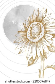 Set of Abstract Sunflower Hand Painted Illustrations for Wall Decoration, minimalist flower in sketch style. Postcard, Social Media Banner, Brochure Cover Design Background. Modern Abstract Painting.