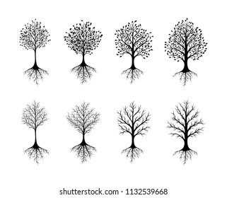 Set of abstract trees with roots 