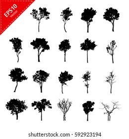 Set of abstract trees silhouettes on white background with a realistic,black tree