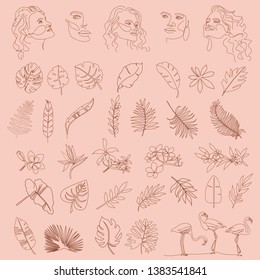 Conjunto de elementos tropicales abstractos, formas y retratos de niñas en un estilo de línea. Ilustración de estilo minimalista. Ilustración vectorial editable