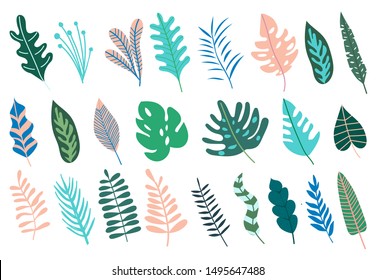 Set with abstract tropical jungle leaves. Collection of trendy foliages. Vector illustration