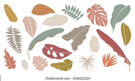 Set of abstract tropical leaves.   Abstract botanical element collection with Earth tone color. Design for natural and floral background pattern, cards and packaging, cosmetics, spa, beauty care.