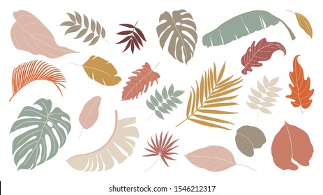 Set of abstract tropical leaves.   Abstract botanical element collection with Earth tone color. Design for natural and floral background pattern, cards and packaging, cosmetics, spa, beauty care.