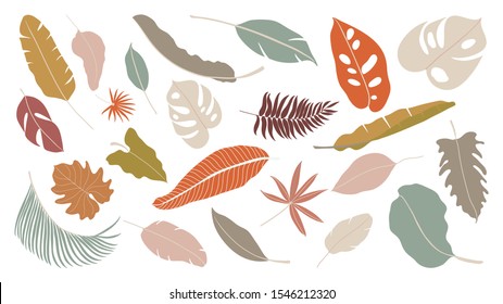 Set of abstract tropical leaves.   Abstract botanical element collection with Earth tone color. Design for natural and floral background pattern, cards and packaging, cosmetics, spa, beauty care.