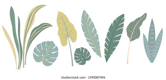 Set of abstract tropical leaves. Vector illustration.