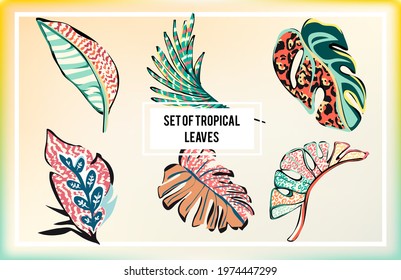 Set of abstract tropical leaves. Vector illustration.