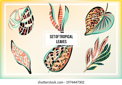 Set of abstract tropical leaves. Vector illustration.