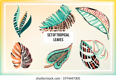 Set of abstract tropical leaves. Vector illustration.