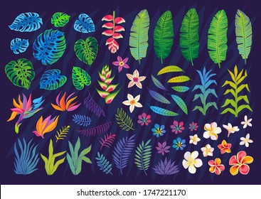 Set of abstract tropical plants, flowers, leaves. Vector design elements. Wildlife colorful floral jungle. Rainforest art background. Hand drawn vector illustration