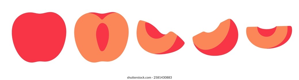 Set of abstract vector apricot. Whole, half and sliced fruit. Vibrant design in a modern, minimal style for textiles, packaging, poster, interior.