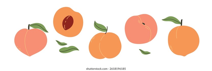 Set of abstract vector apricots. Simple apricot. Organic fruit for juice, smoothie or healthy food. Fruit collection design for interior, poster, banner. Vector
