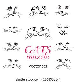 Set of abstract vector illustration of cats muzzle set.  Abstract animal icon label. Flat illustration with cat head. Isolated vector objects on white background. Cats logo design template.