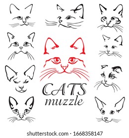 Set of abstract vector illustration of cats muzzle set. Abstract animal icon label. Flat illustration with cats head. Isolated vector objects on white background. Cats logo design template.