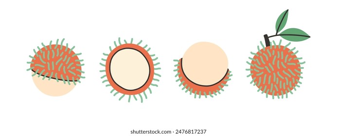 Set of abstract vector rambutan. Simple rambutan. Tropical fruit collection design for interior, poster, banner. 