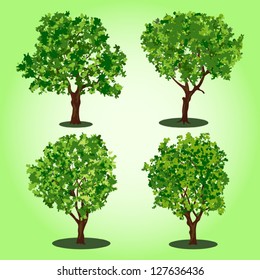 Set of abstract vector trees