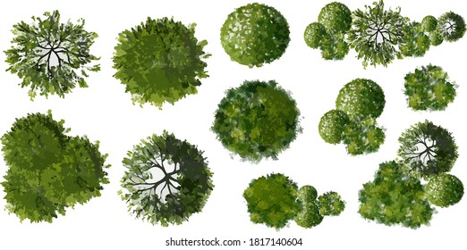 Set of abstract watercolor green tree top view isolated on white background for landscape plan and architecture layout drawing,elements for environment and garden - Shutterstock ID 1817140604